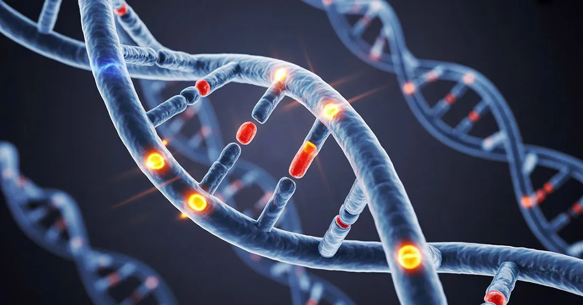 DNA helix visualization showing molecular research funded by prostate cancer grants